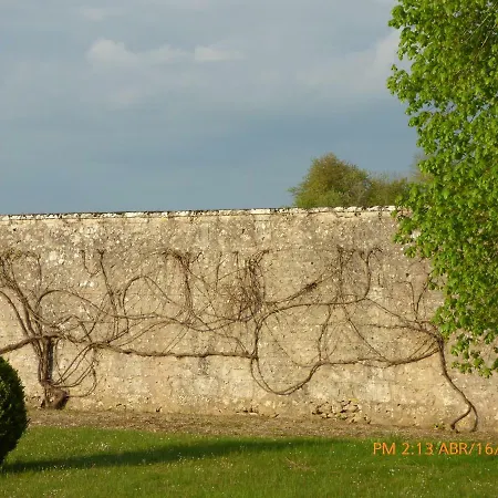 Chateau De Montrame