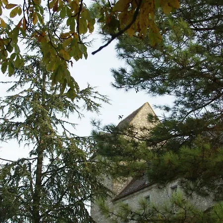 Chateau De Montrame 酒店 Soisy-Bouy