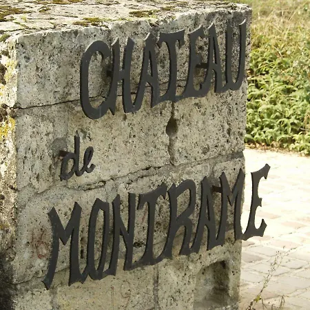 Chateau De Montrame Hotell Soisy-Bouy